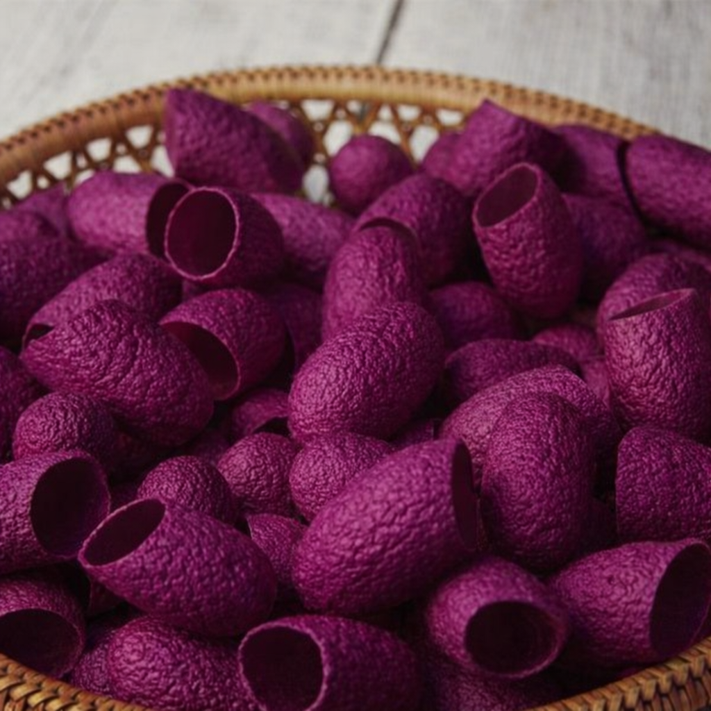 Aubergine-Cocoons.png
