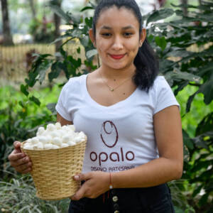 Collecting Cocoons Collecting Cocoons