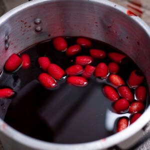 Dying Cocoons 3 Dying Cocoons 3