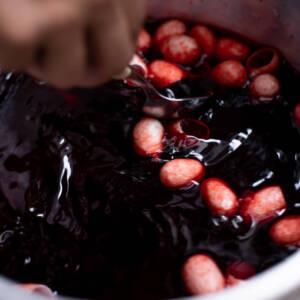 Dying Cocoons Dying Cocoons