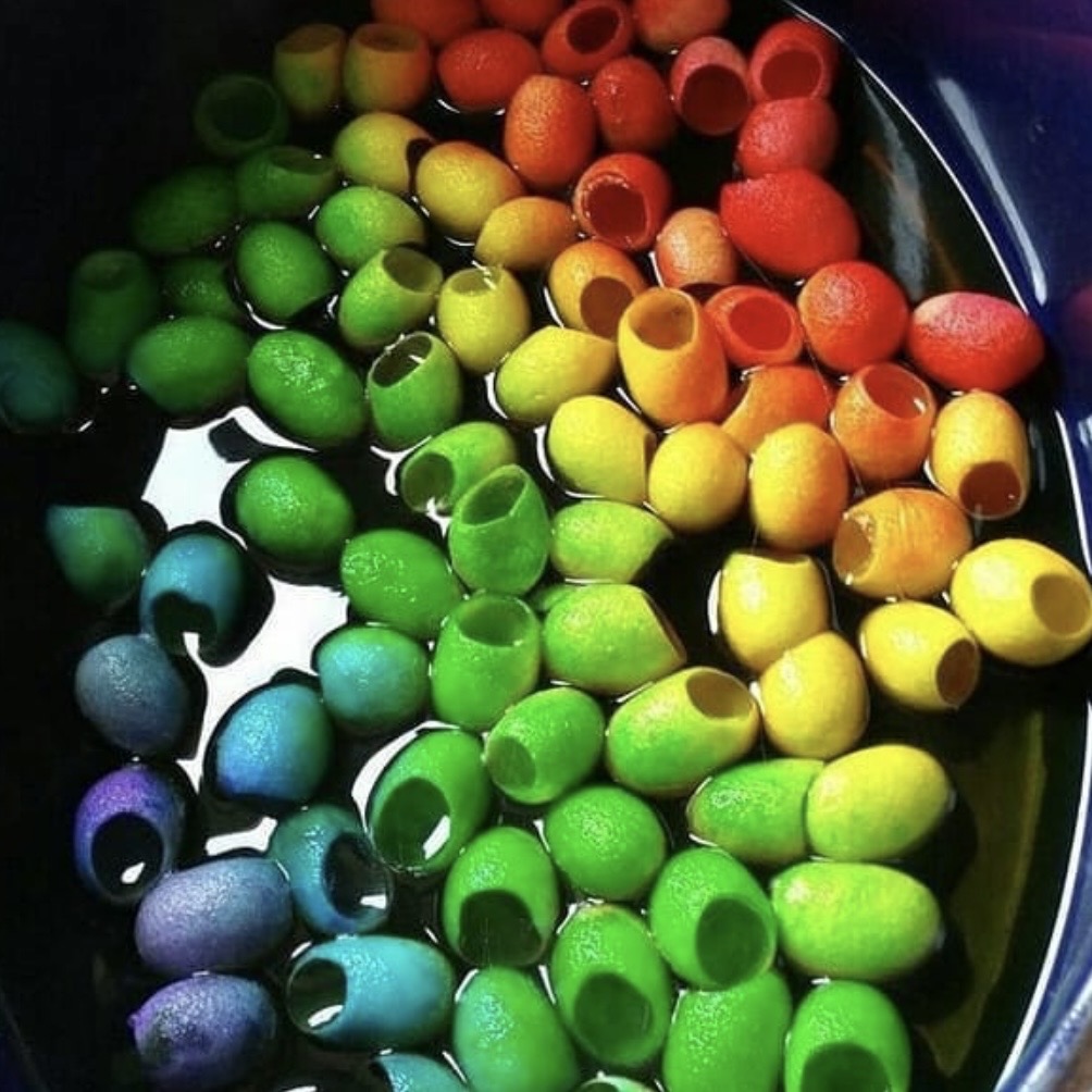 Dying-Silk-Cocoons.jpg